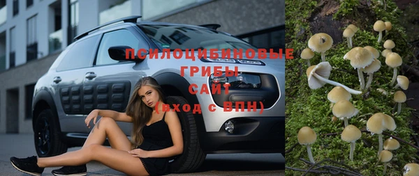 винт Ладушкин