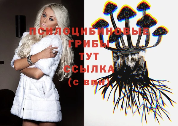 спайс Лабытнанги